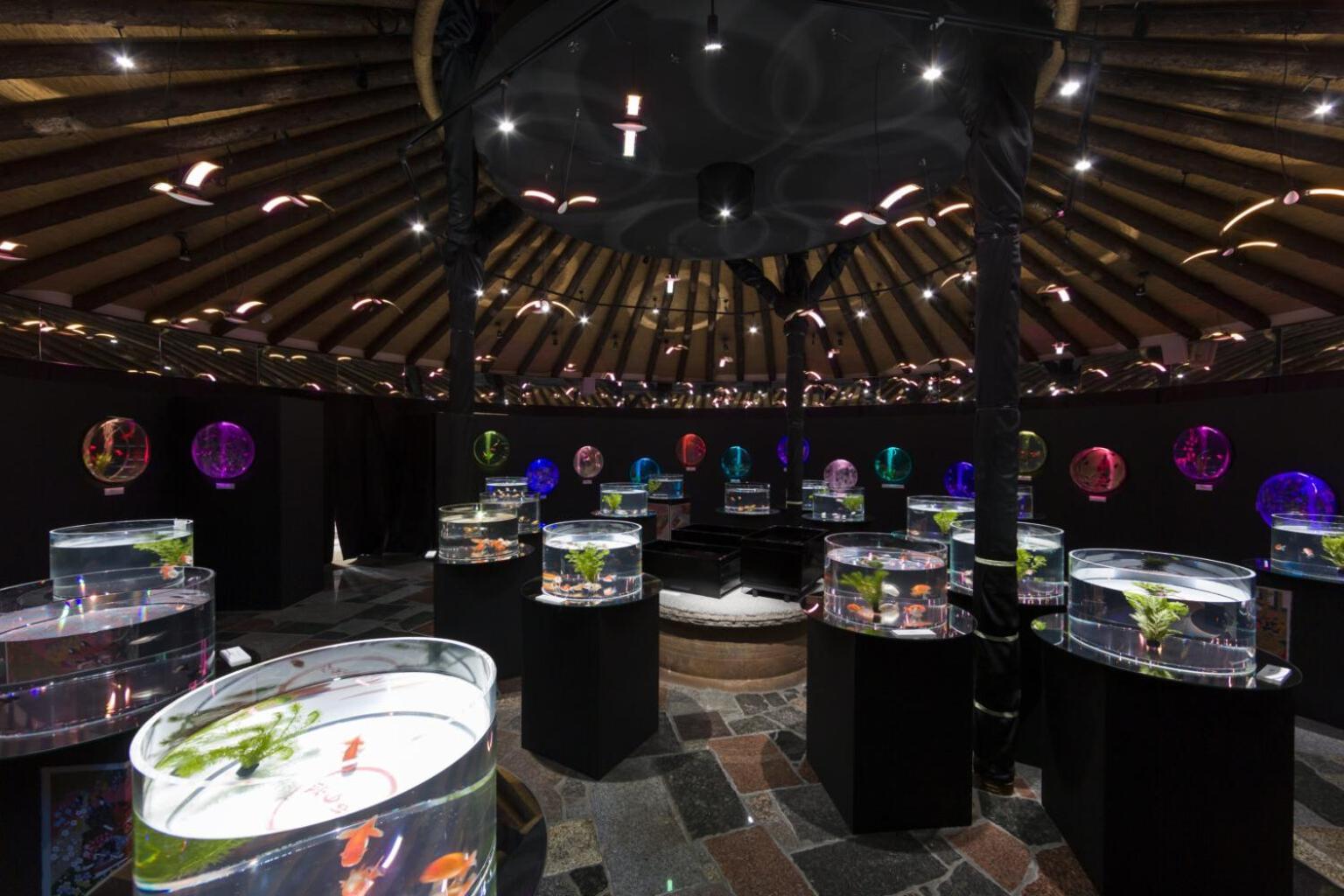 Gotemba Kogen Tokinosumika Hotel Ngoại thất bức ảnh